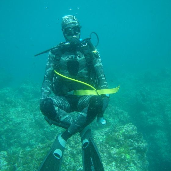 Immersió, silueta