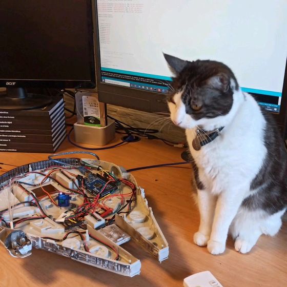 La gata supervisant